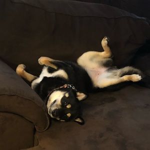 Meet your Posher, Andrew